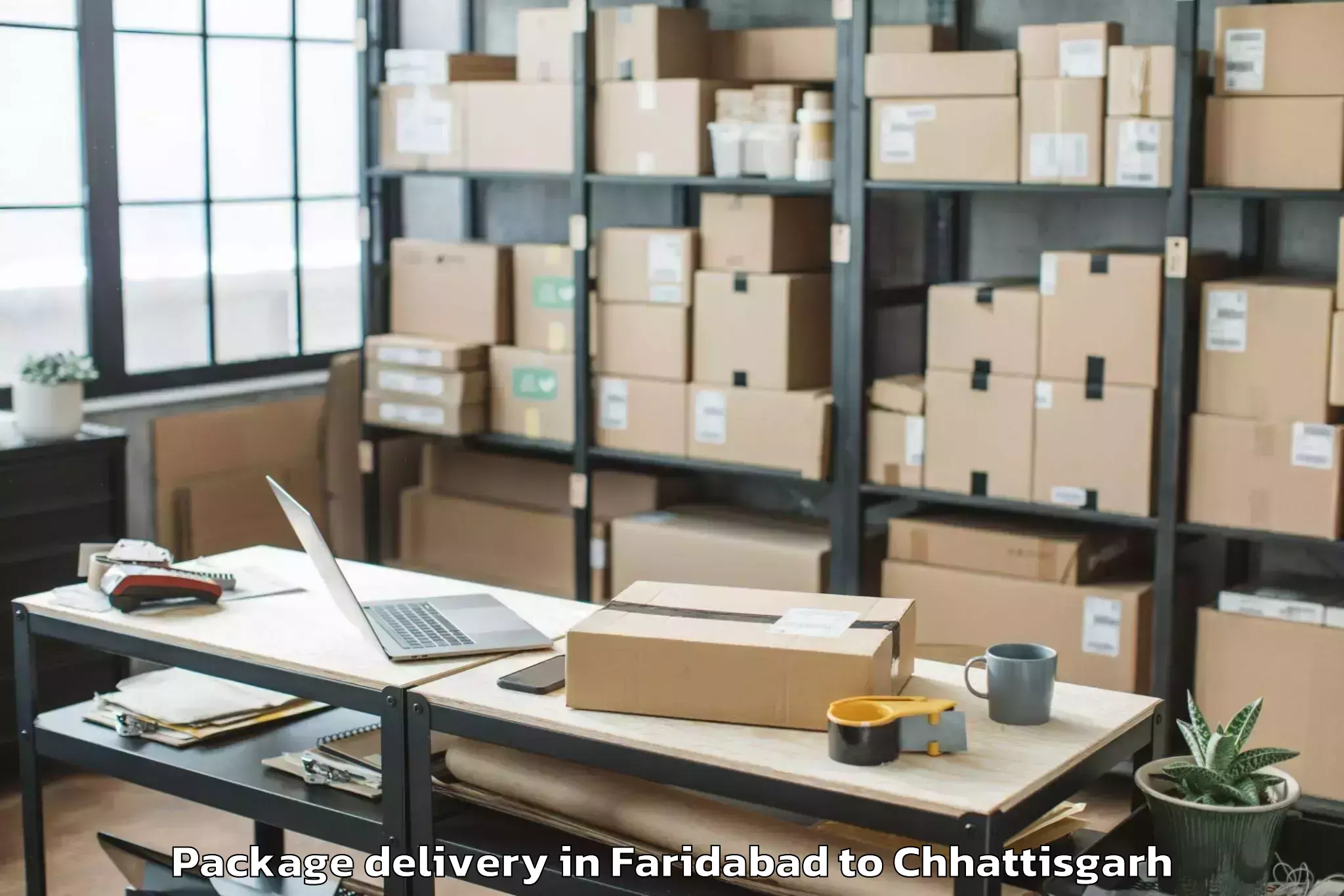 Book Faridabad to Gunderdehi Package Delivery